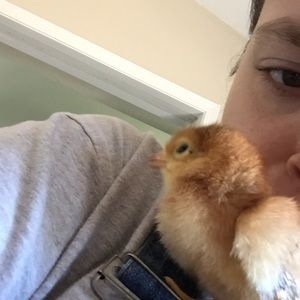 Meet your Posher, Sky